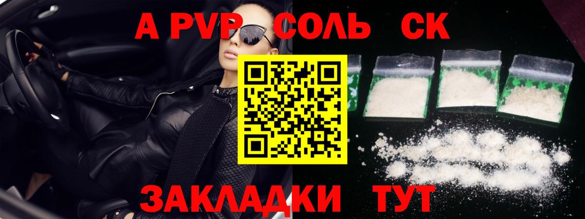 Alfa_PVP СК КРИС Урус-Мартан